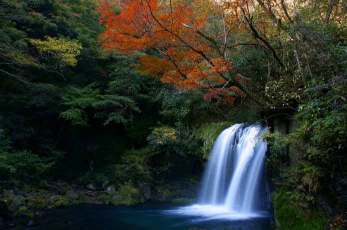 伊豆の紅葉と滝