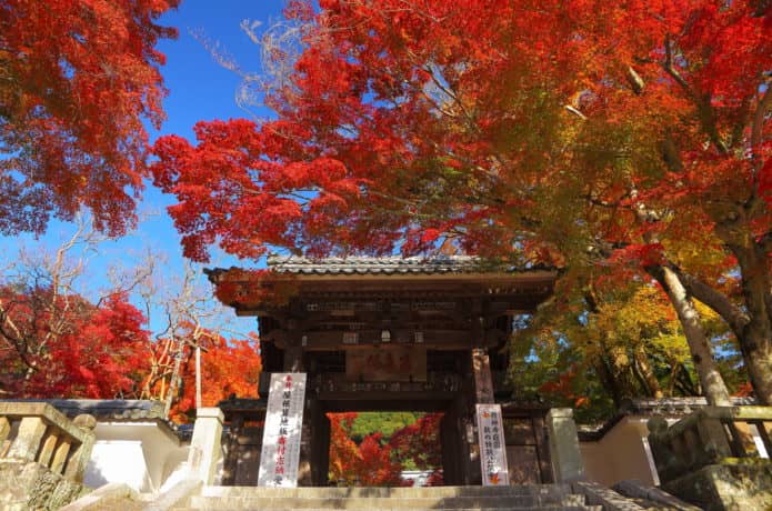 伊豆の修善寺と紅葉