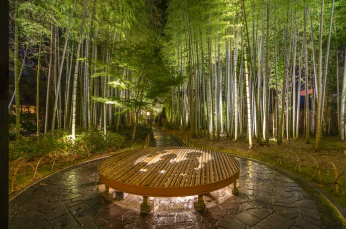 竹林の小径　修善寺　夜