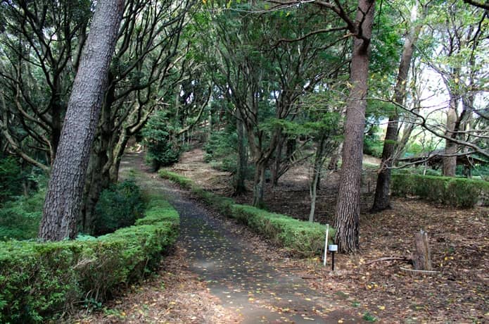 伊豆山恋の森公園