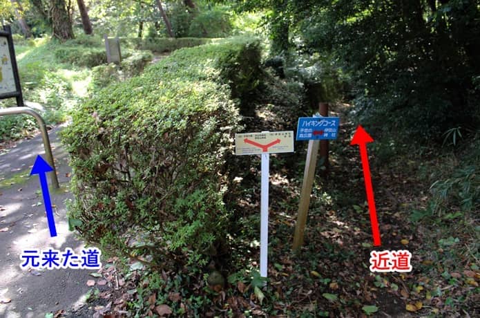 伊豆山神社への近道
